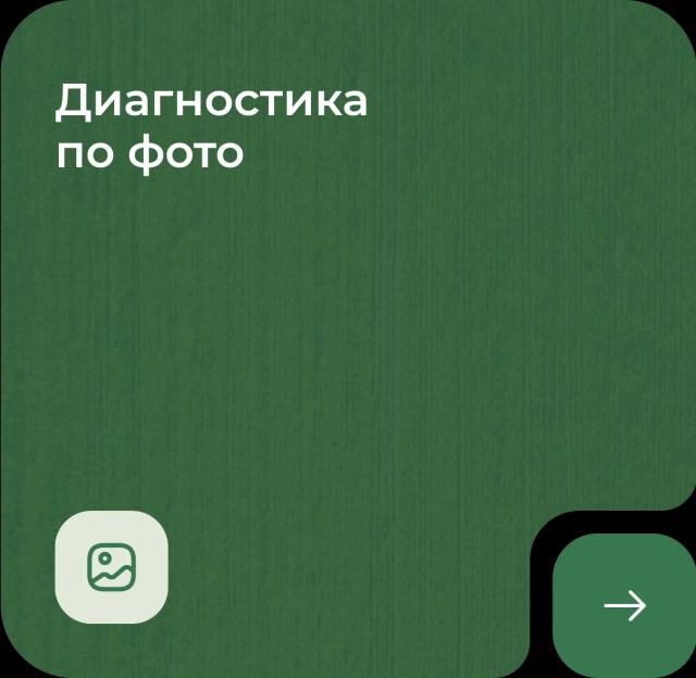 Диагностика по фото